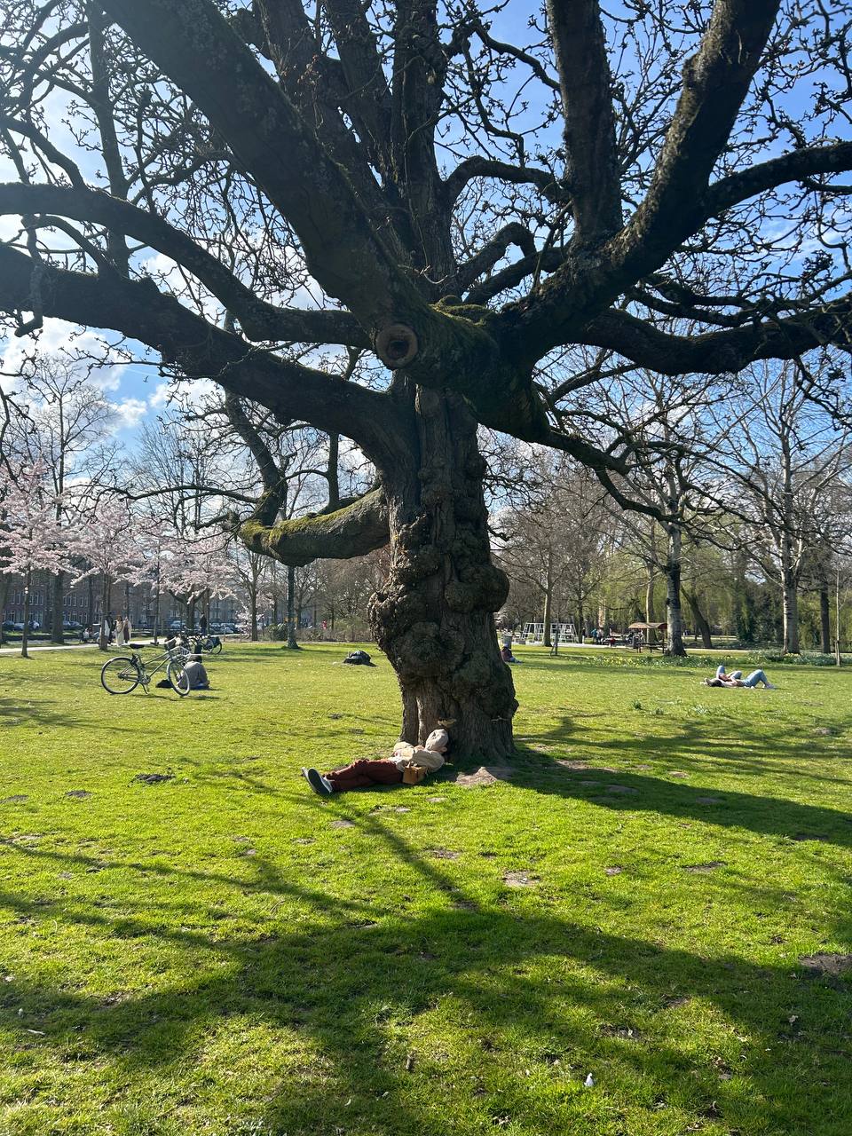 In the park